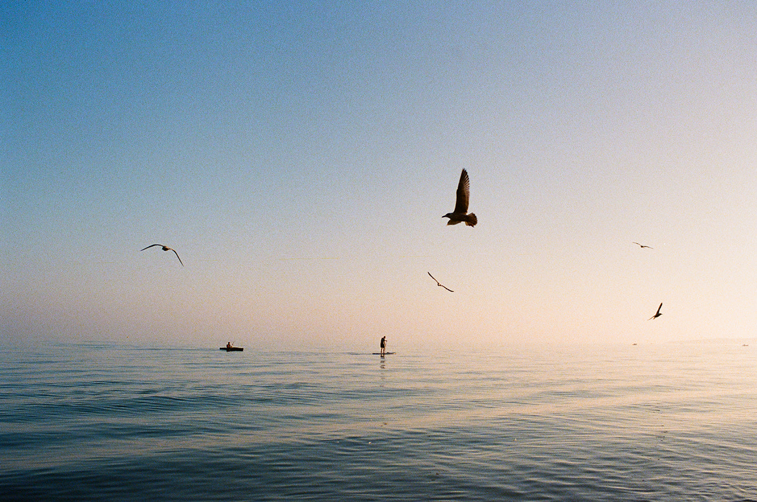 10 tips for film photography beginners