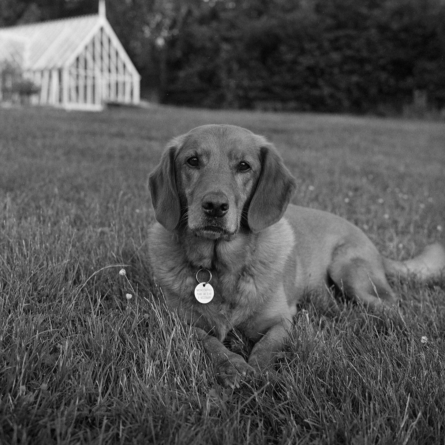 Same day black and white processing - Take it Easy Lab