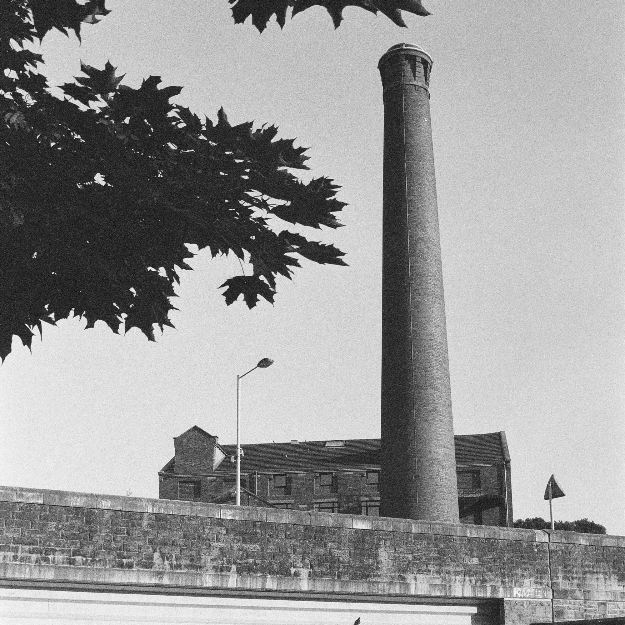 Same day black and white processing - Take it Easy Lab