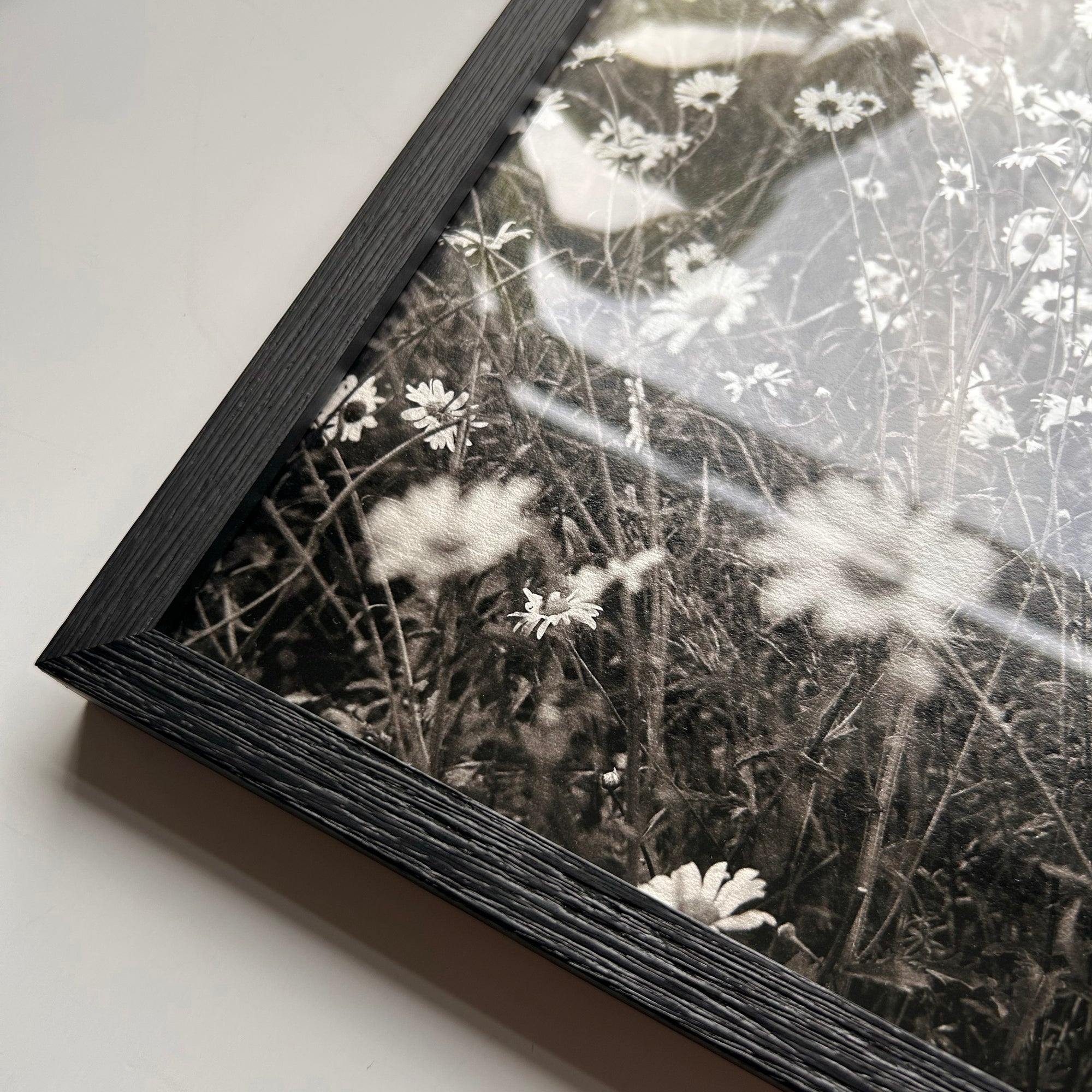 Giclee Prints - Take It Easy Lab Ltd