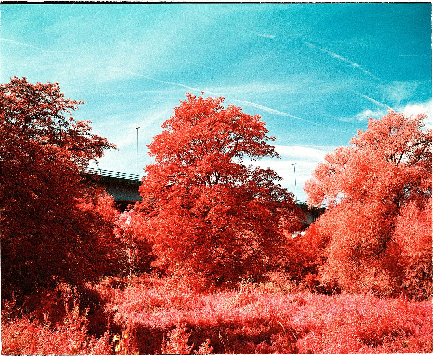 Imacon Flextight Scanning (per frame) - Take It Easy Lab Ltd