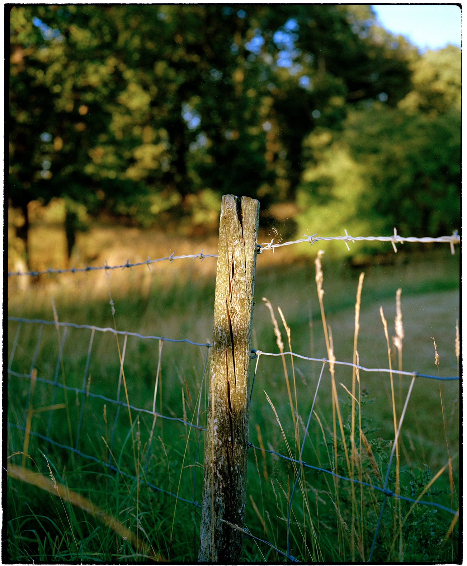 Imacon Flextight Scanning (per frame) - Take It Easy Lab Ltd