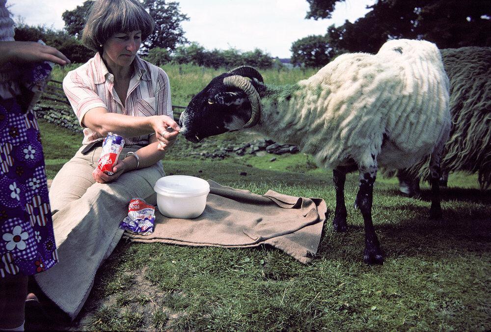 35mm Slide scanning to digital - Take It Easy Film Lab