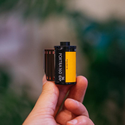 Kodak Portra 160 - 35mm - Take It Easy Film Lab