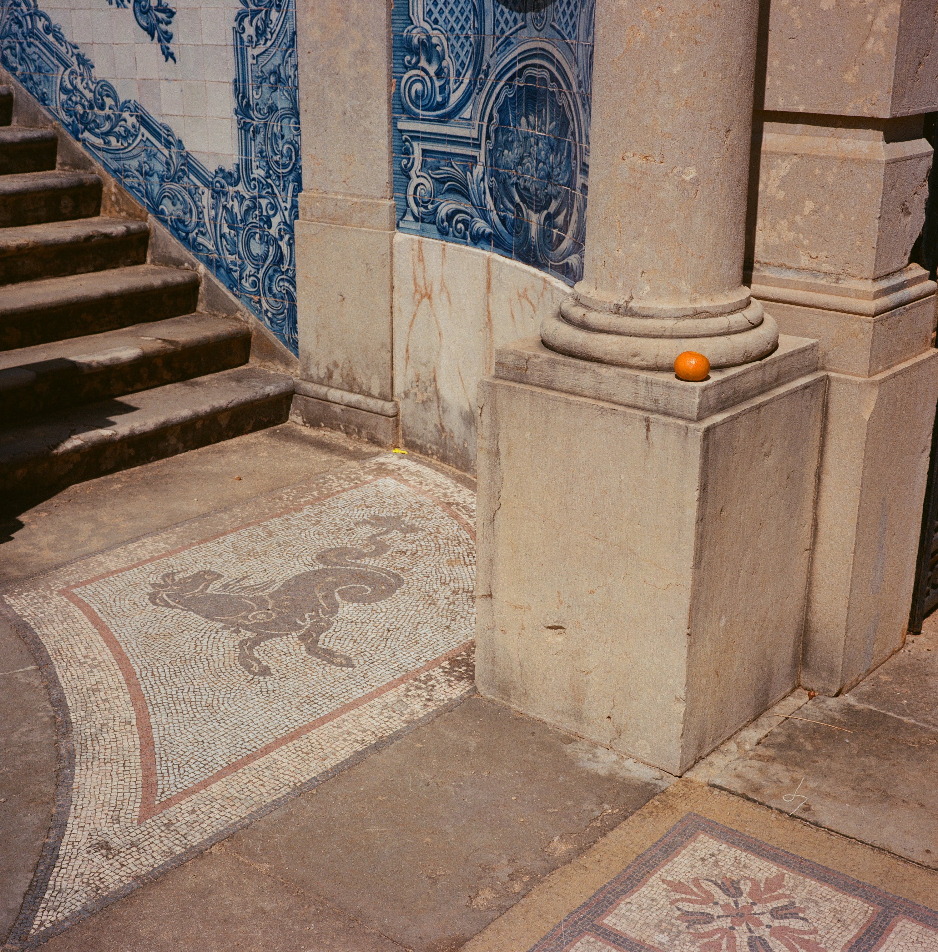 Kodak Medium Format Workshop - Take It Easy Lab Ltd