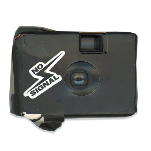 Disposable camera