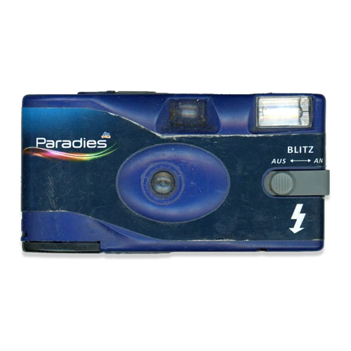 Disposable camera