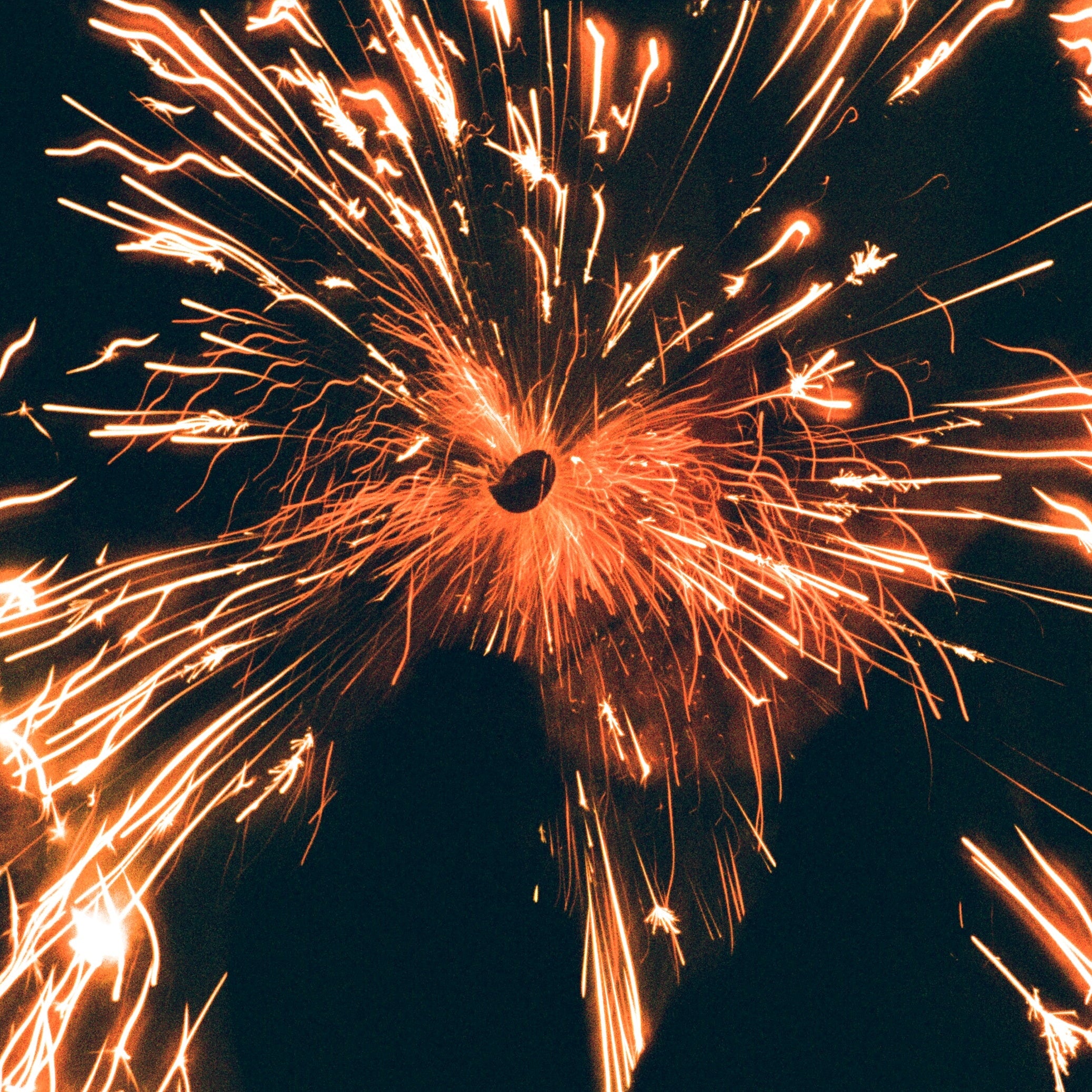 Harman Phoenix II 200 - 35mm