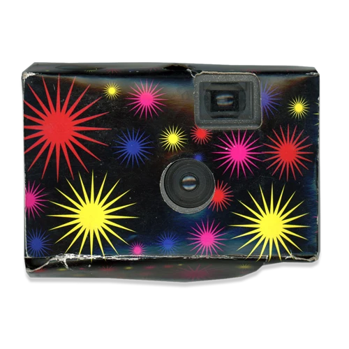 Disposable camera