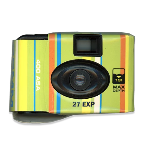 Disposable camera