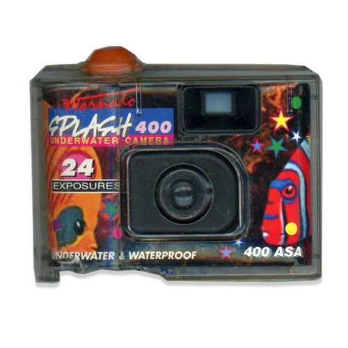 Disposable camera