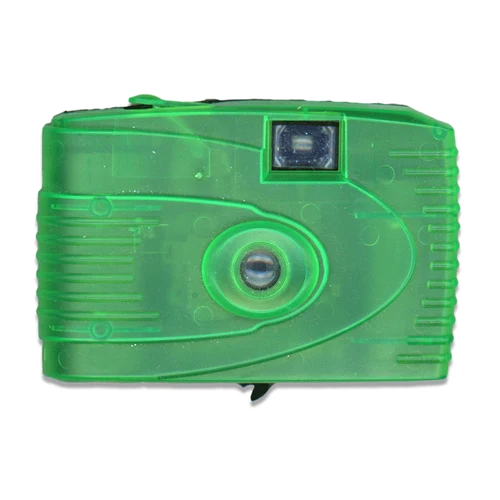 Disposable camera