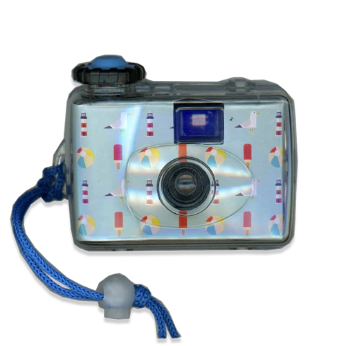Disposable camera