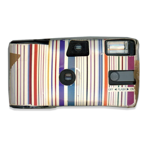 Disposable camera