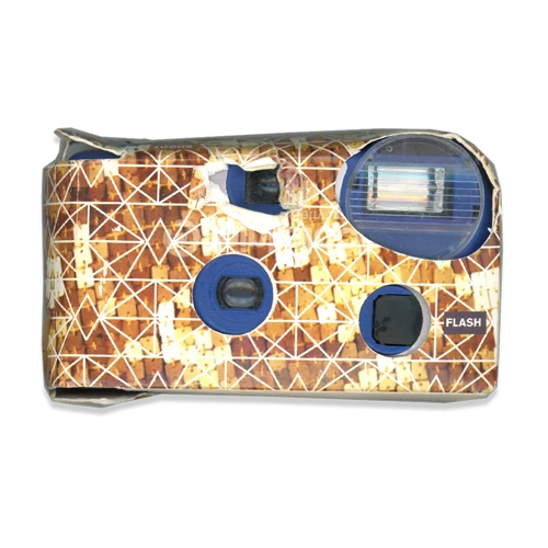 Disposable camera