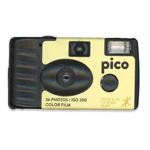 Disposable camera