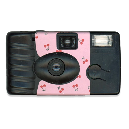 Disposable camera