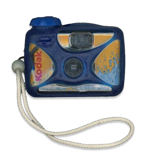Disposable camera