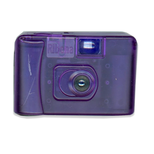 Disposable camera