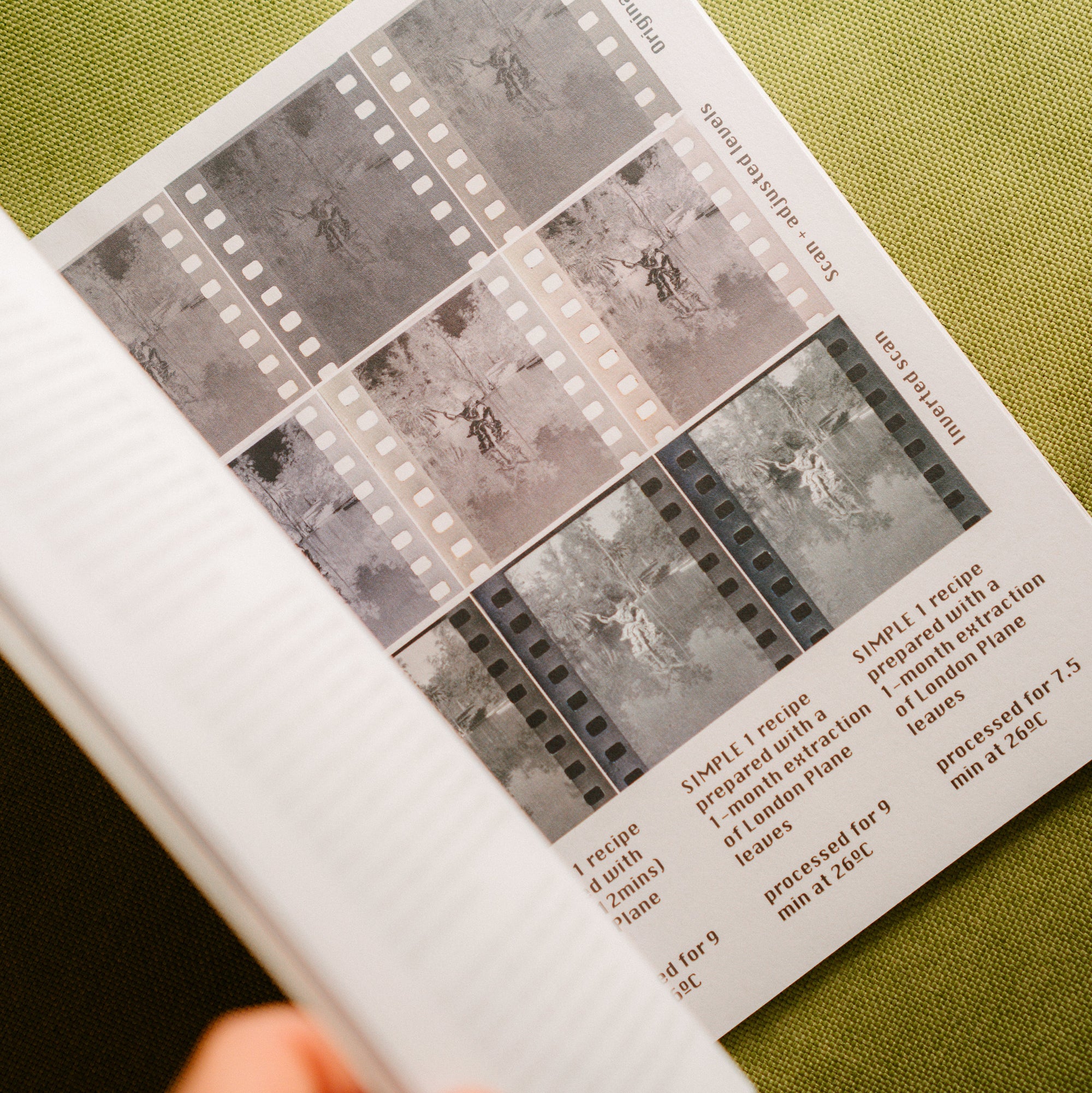 The Sustainable Darkroom - Back To Basics