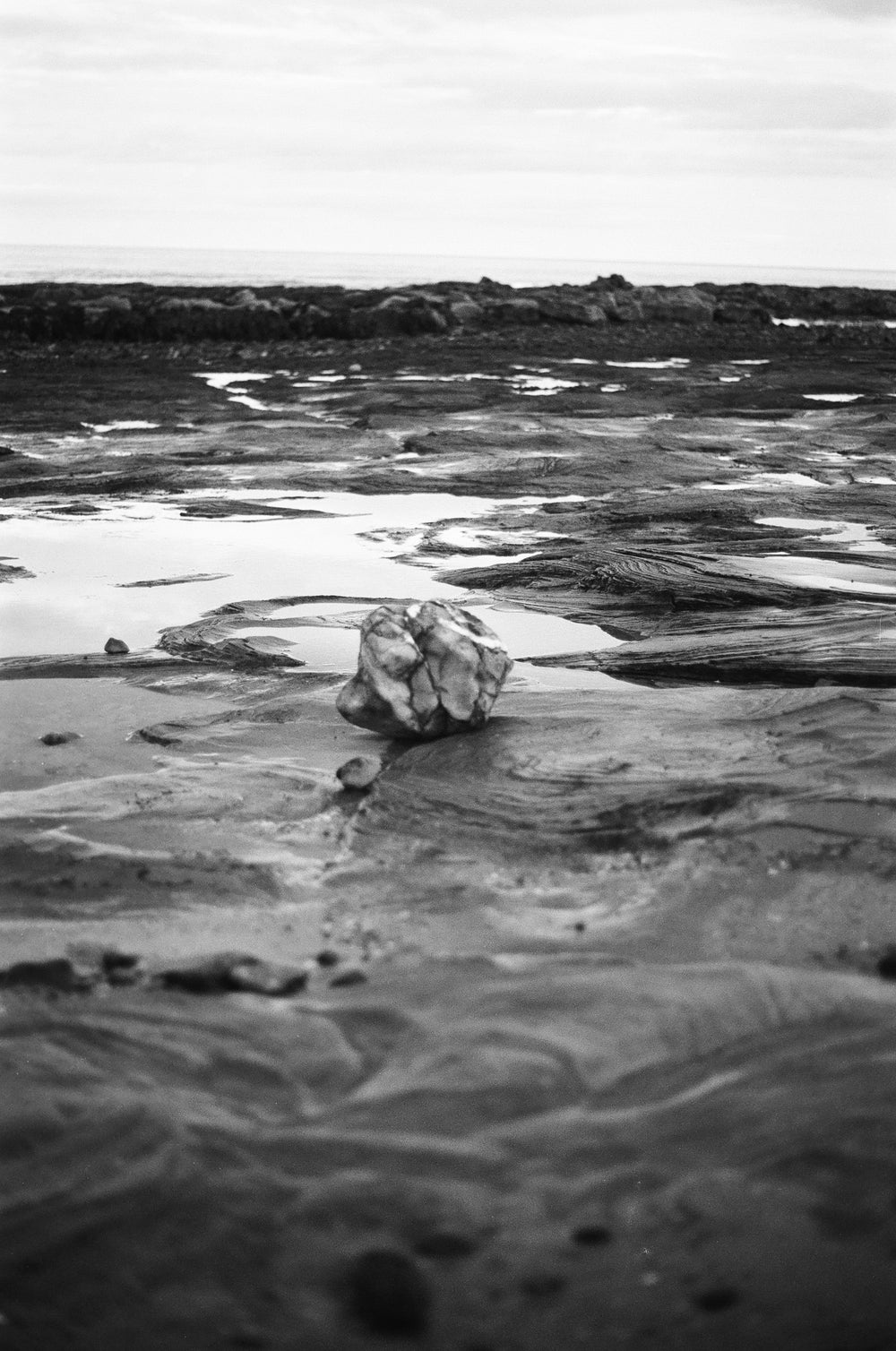 Ilford FP4