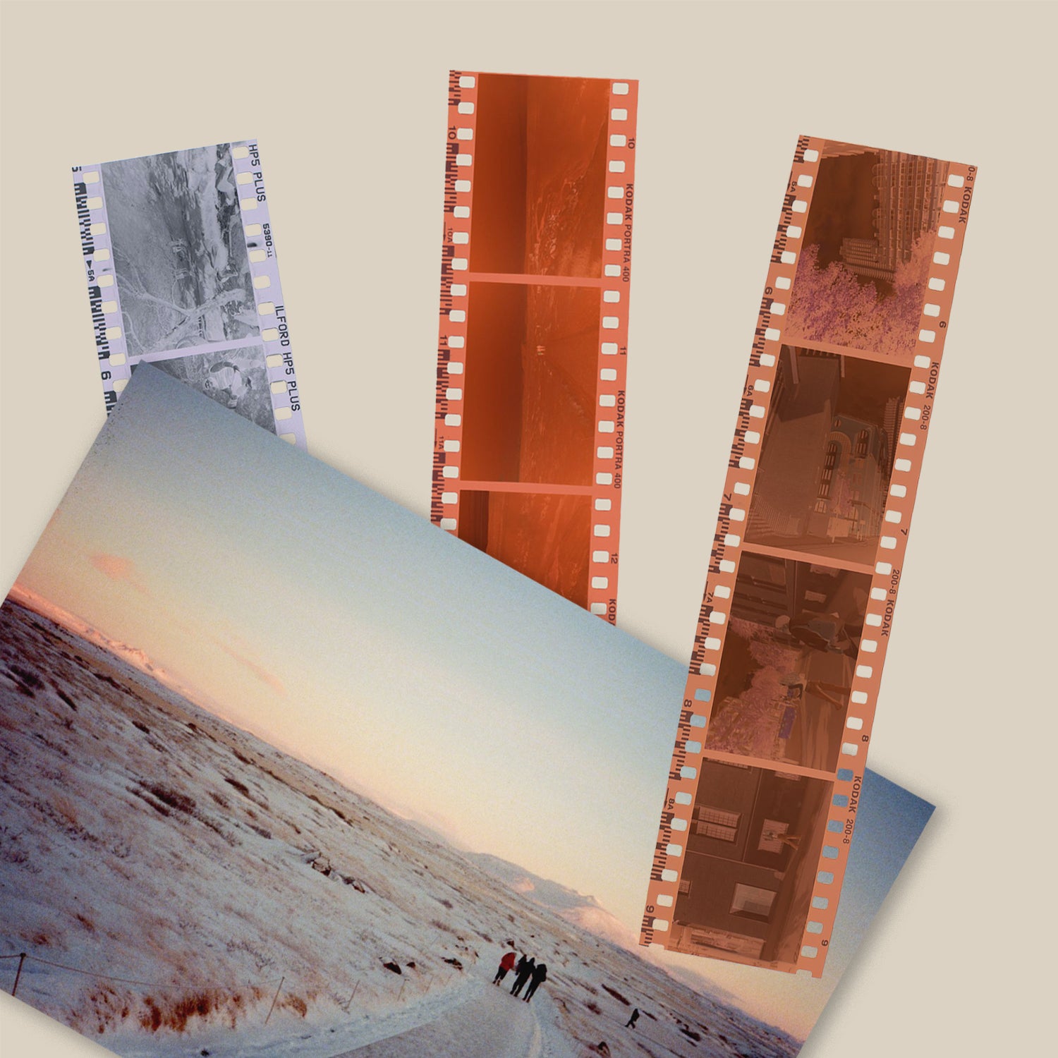 Developed Negative Film Film Negatives Get Photos Developed