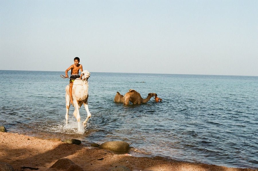 Fujifilm C200 customer photo by @patric_bartlett