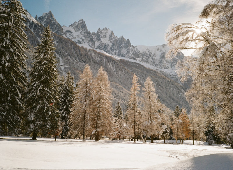 Kodak Gold 200 customer photo by @dunderdalec