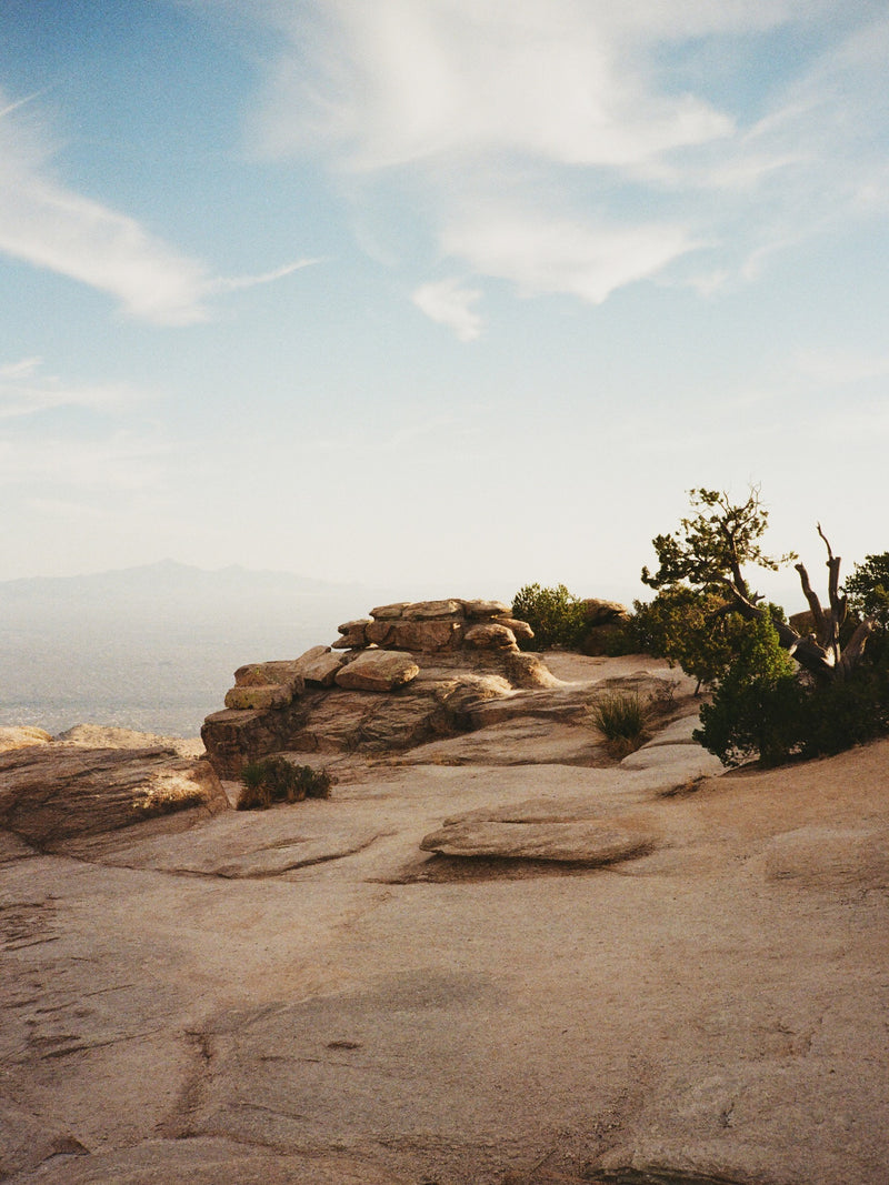Kodak Gold 200 customer photo by @zordentique
