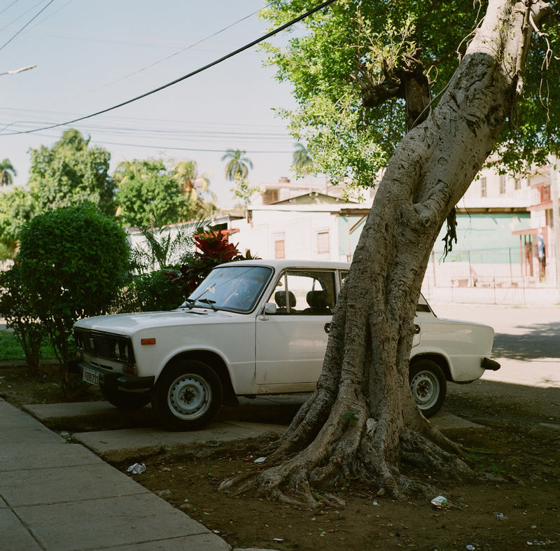 Kodak Portra 400 customer photo by @nico_utuk