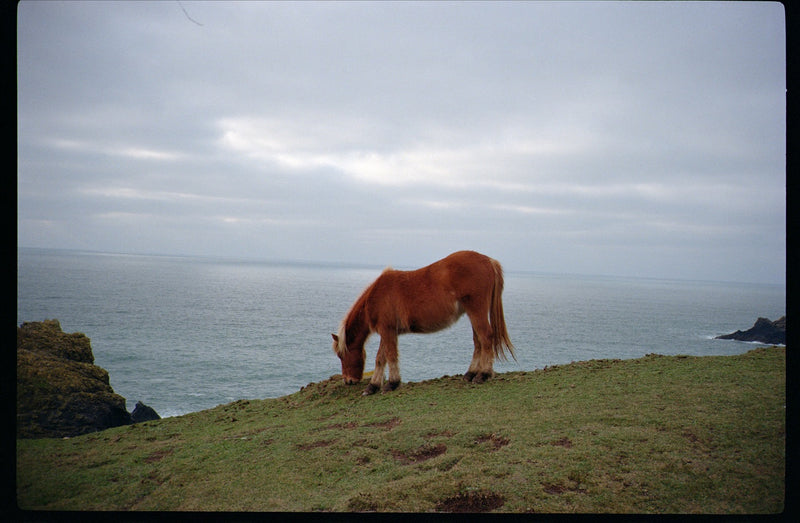 Kodak Ultramax 400 customer photo by @amslebrun
