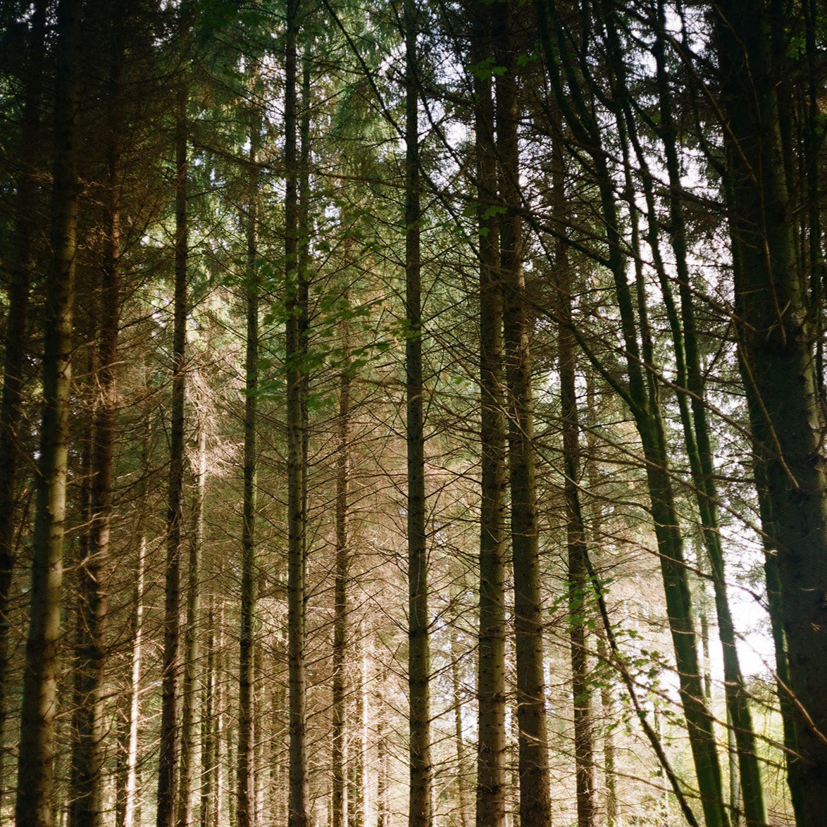 Example scans from colour film developing 