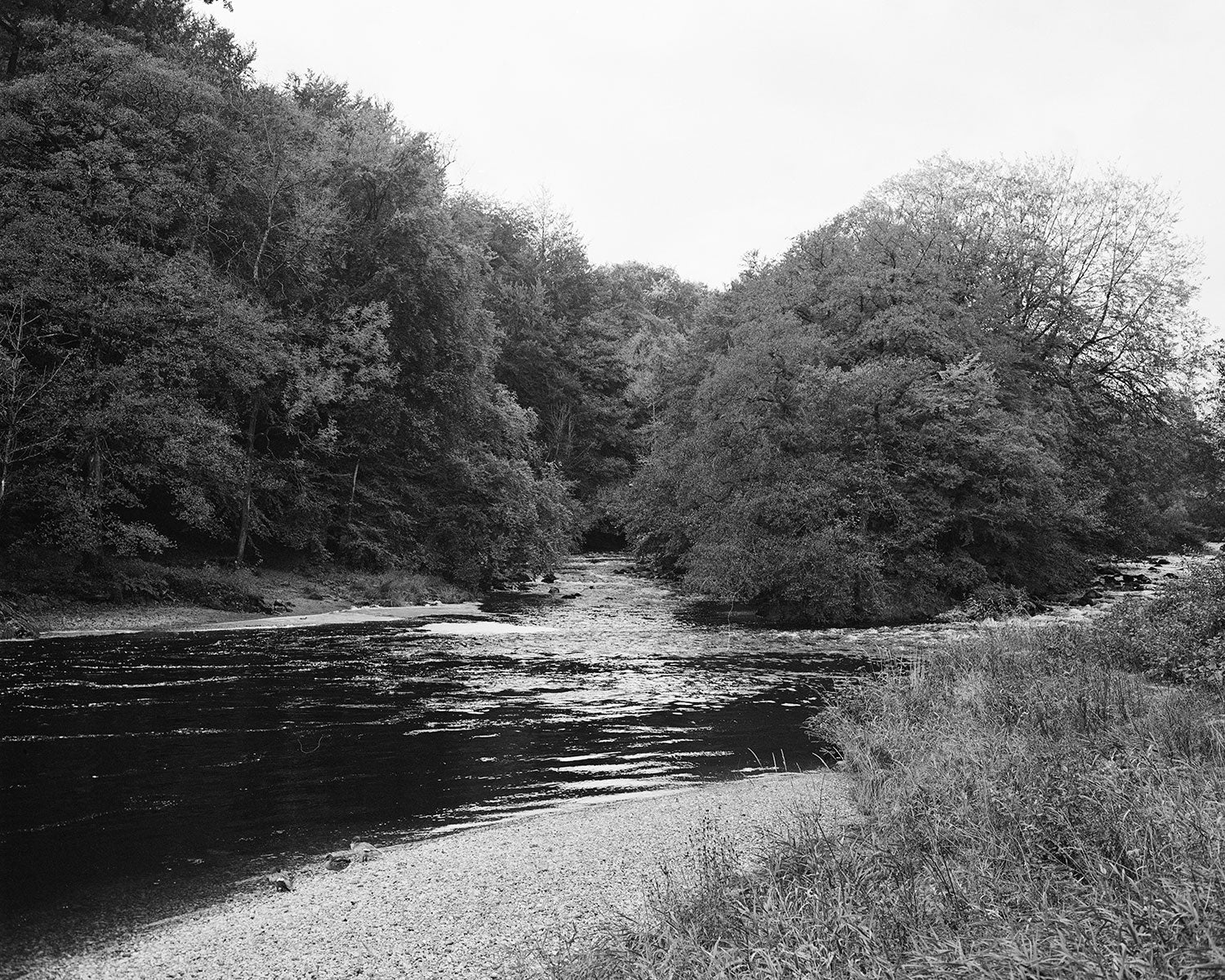 Example of scans from black and white film developing 