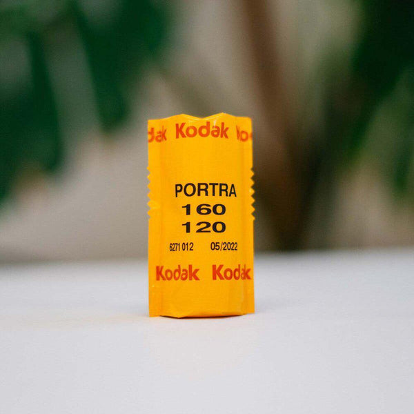 Kodak Portra 160 35mm  REVELAB Studio - Film Lab & Shop